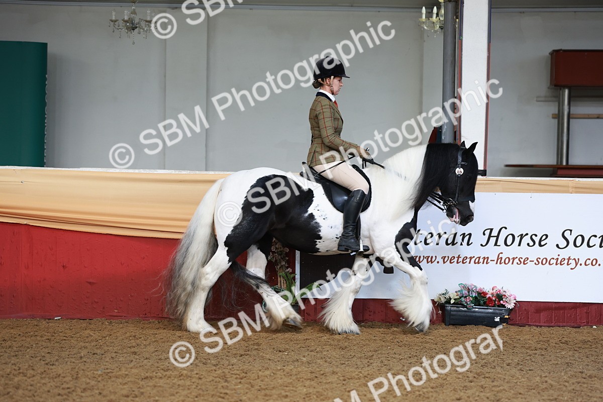 SBM_11812 - Class 102 - Equitation (Best Rider) Adult