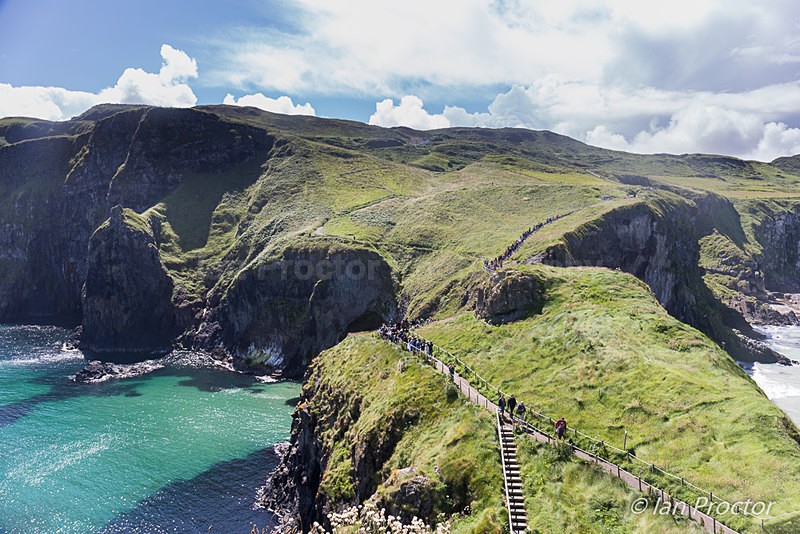 Carrick-a-Rede Headland - Summer