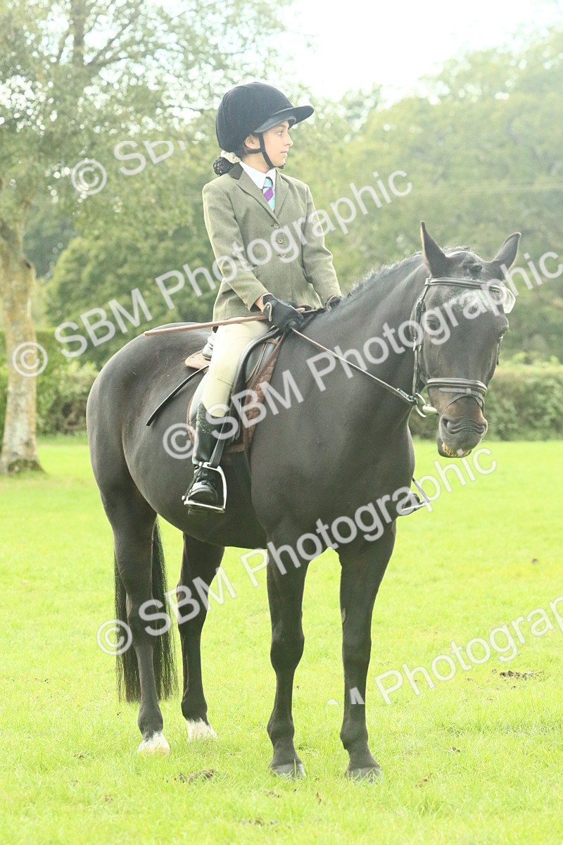 SBM_74117 - S 61 - Show Pony & Show Hunter Pony Ridden
