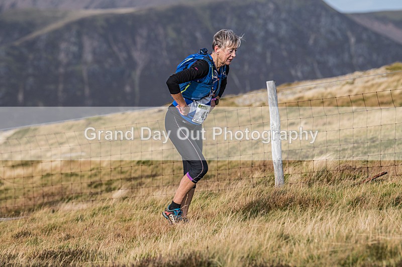 Buttermere-499 - Buttermere Shepherds Meet Fell Race Sunday 27th October 2024