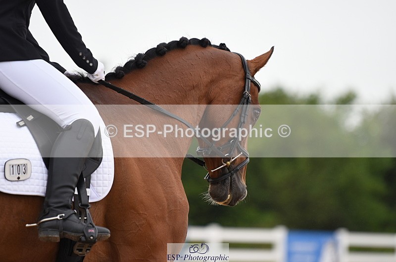 230630A-111624-00999 - Cls 4 Novice 23 Start to 11.30 break