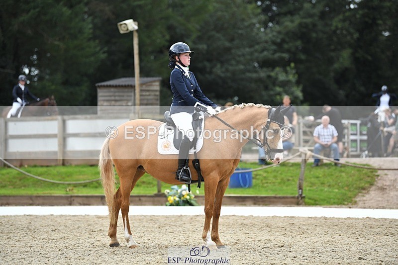 230812-124258-04194 - Cls 6 Novice Silver 12.10 to End