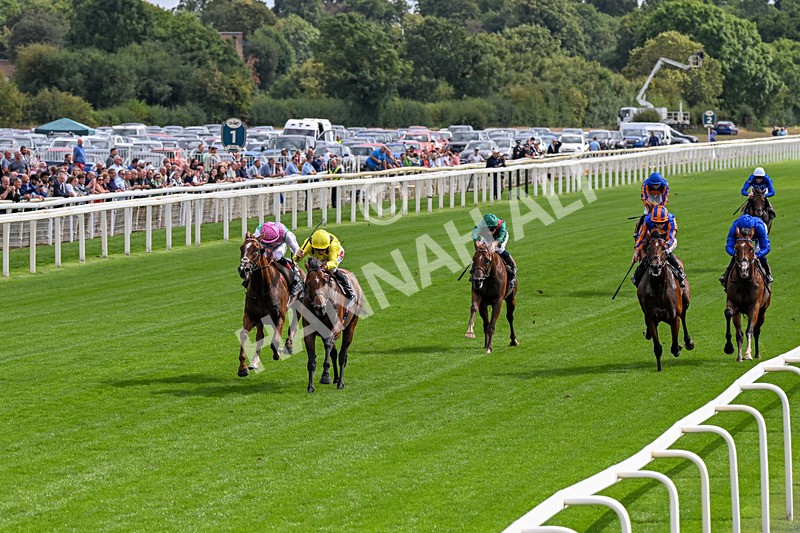 190826-Race 4-Item-0439 - Race 4 15.35pm Juddmonte International Stakes
