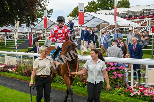 270724-Race 6-Ziggy-9894 - Race 6 5.10pm Sky Bet, For The Fans Handicap