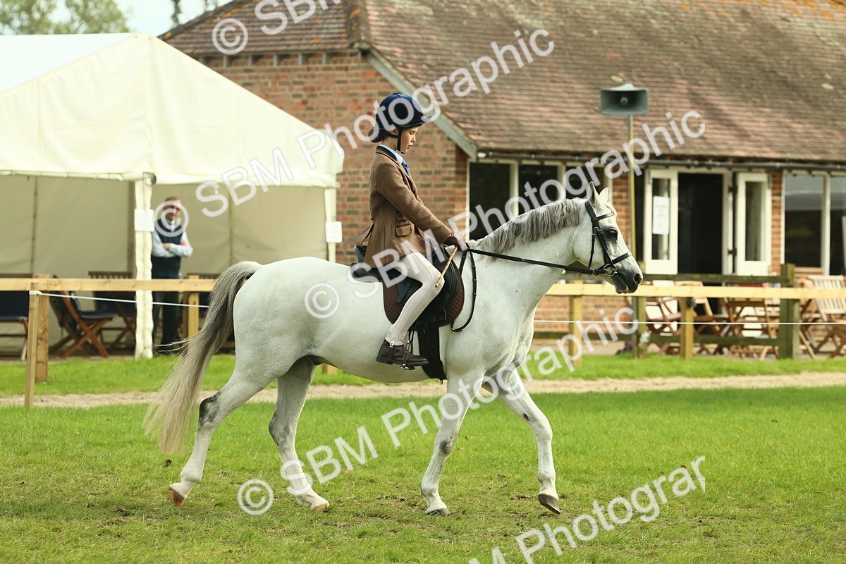 SBM_69777 - S59 - Mountain & Moorland Ridden Small Breeds