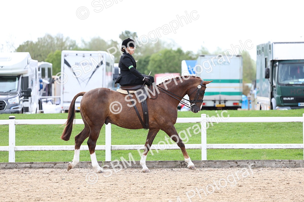 SBM_03168 - Class 22 - SSA Equitation (any age)