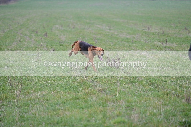 WJ7_7920 - A Camera