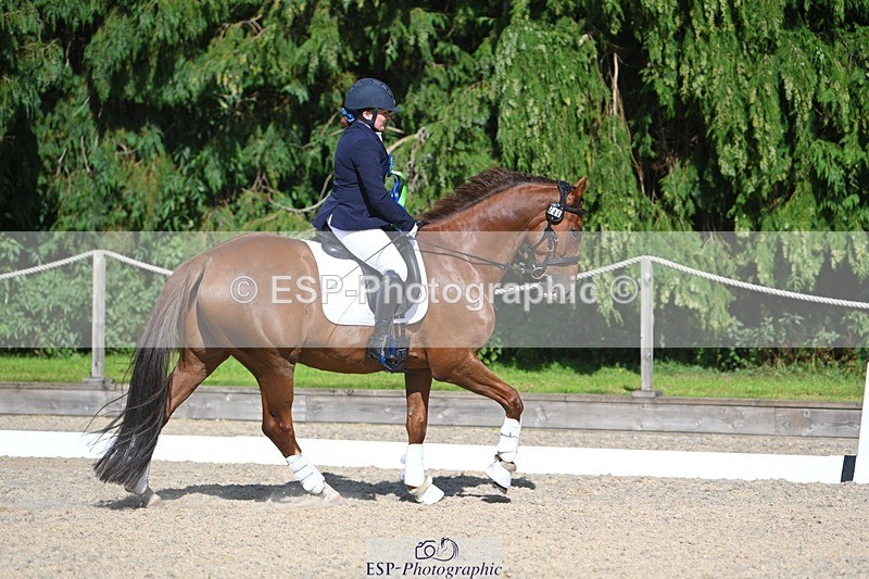 230811-162611-02677 - Prelim Bronze Presentations