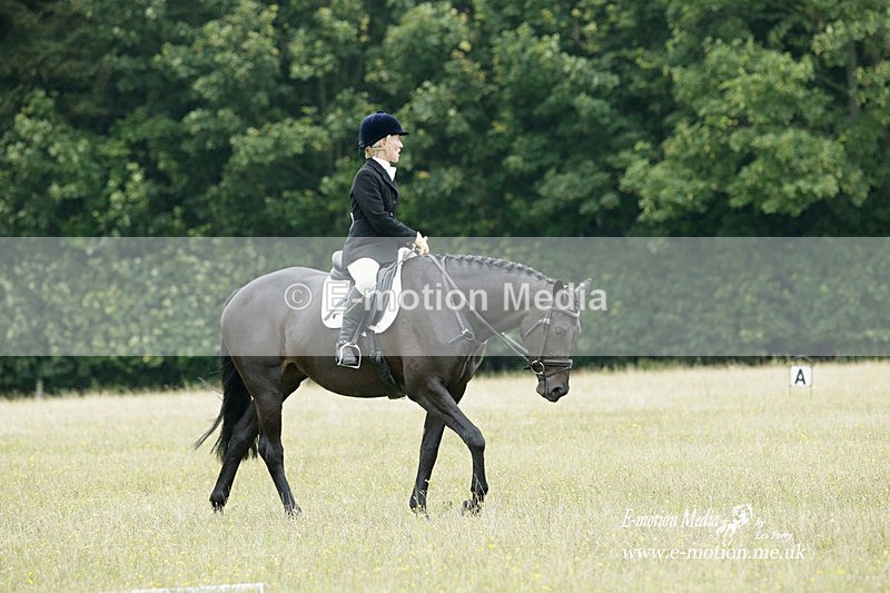 BVRC 030721 276 - Bourne Valley Riding Club Dressage 03/07/21