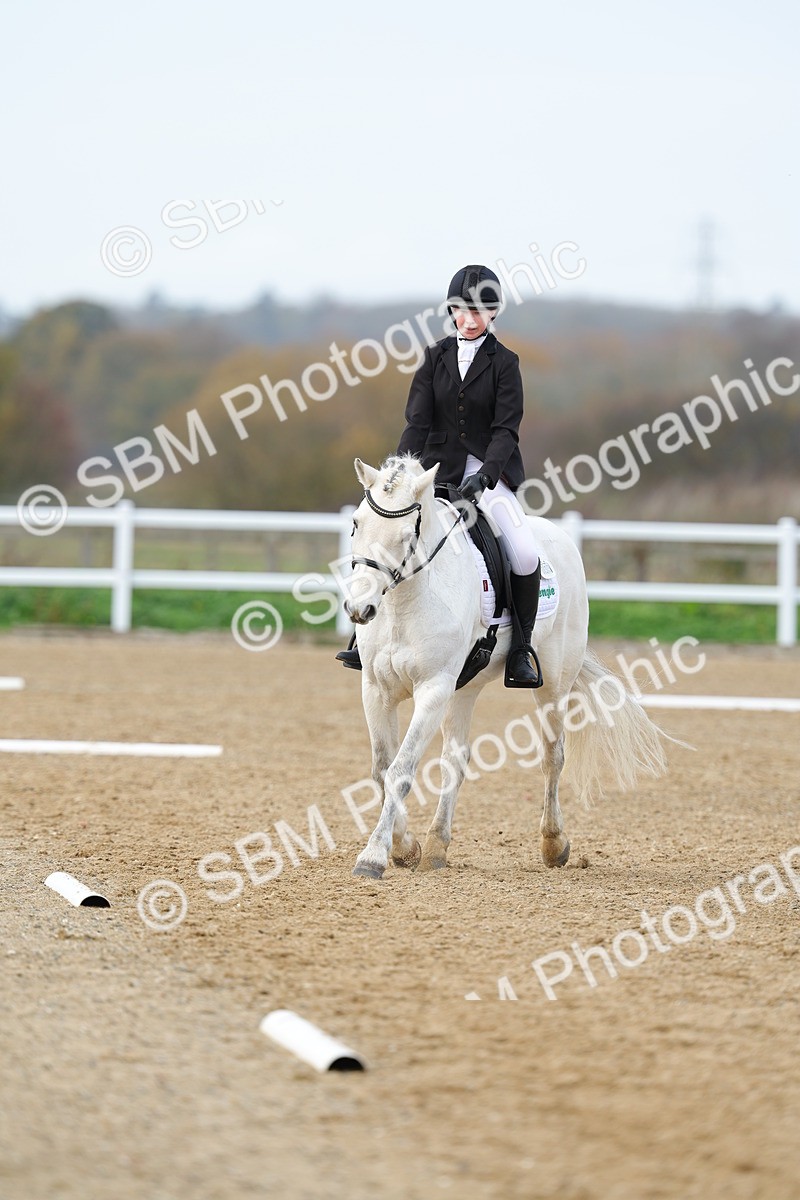 SBM_003783 - Class 7 - Novice 3