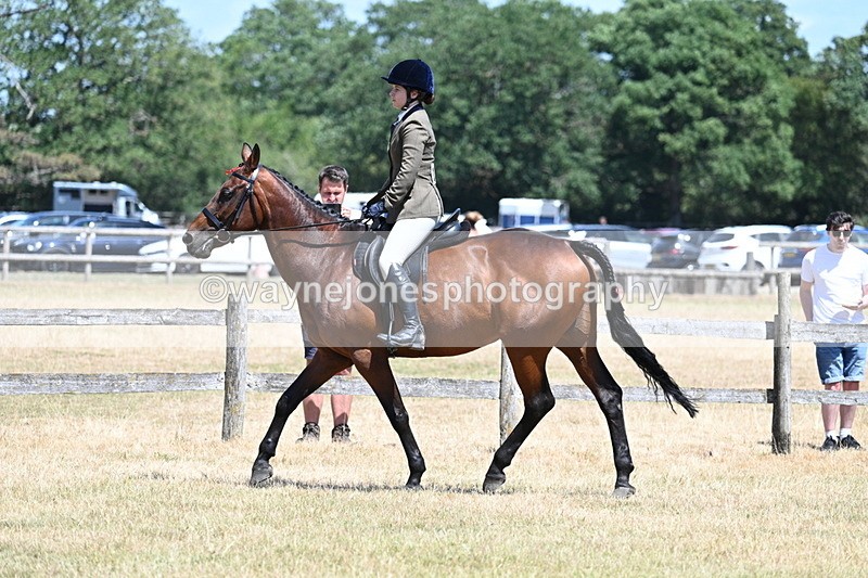 WJ7_2809 - Class 7 Riding Club Show Horse