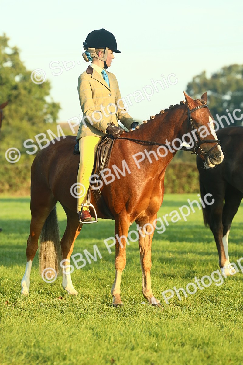 SBM_56514 - S36 - Starters Best Turnout