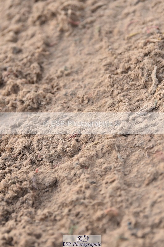 231015A-134318-08408 - Cls 25 95cm Amateur Q 2nd R