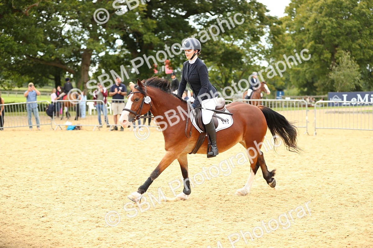 SBM_71354 - J18 - Junior Pony 85cm Championship