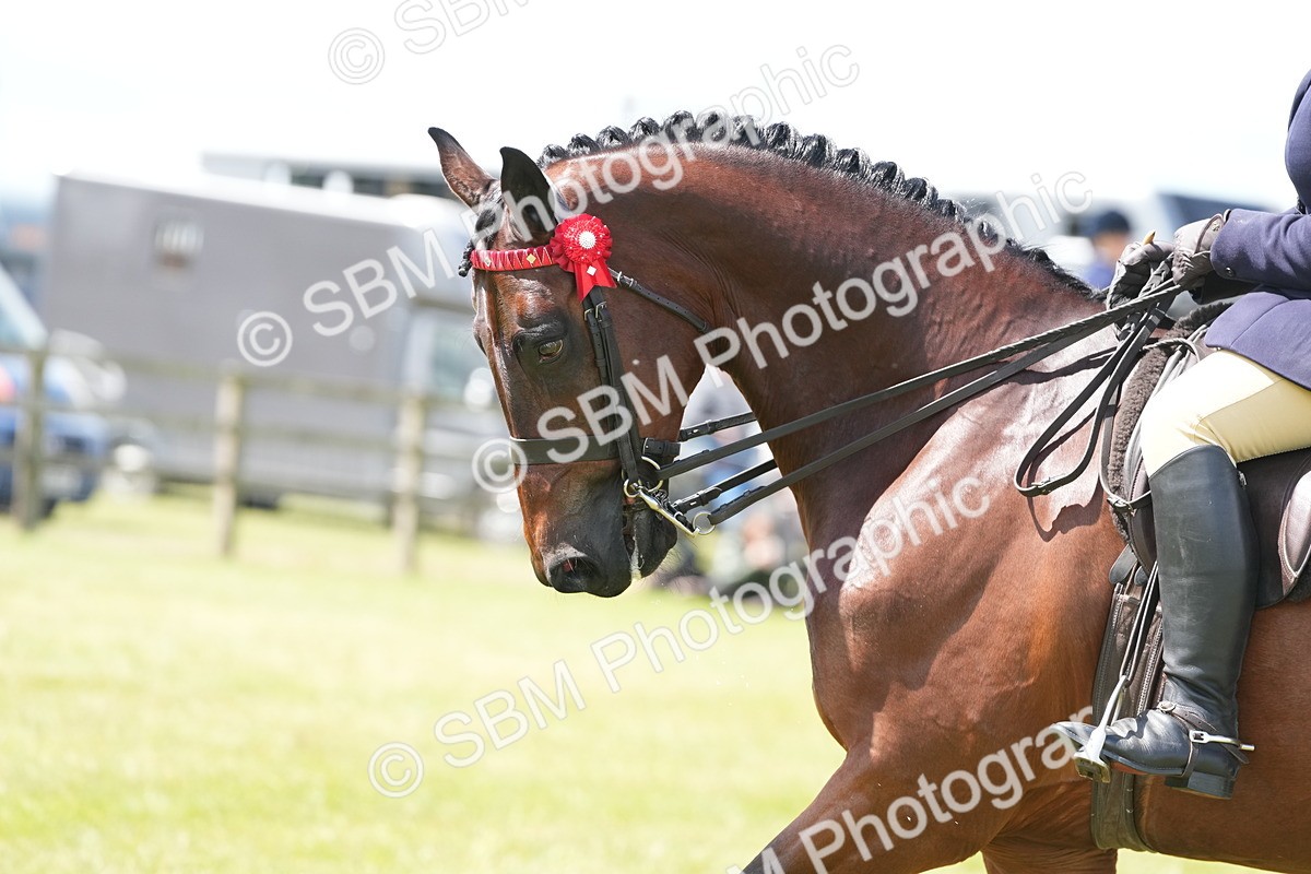 SBM_15899 - Class 103-104 - RIHS Hacks