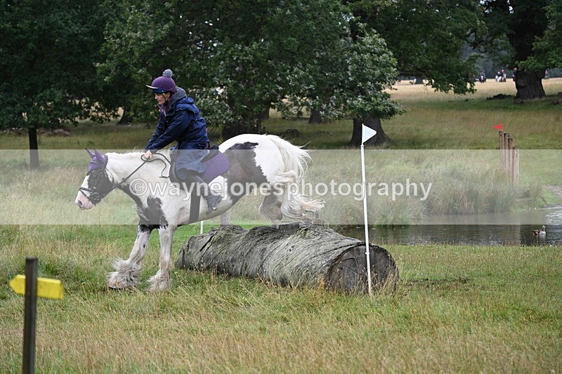 WJ7_9206 - Time at Water 11:53 to 12:23