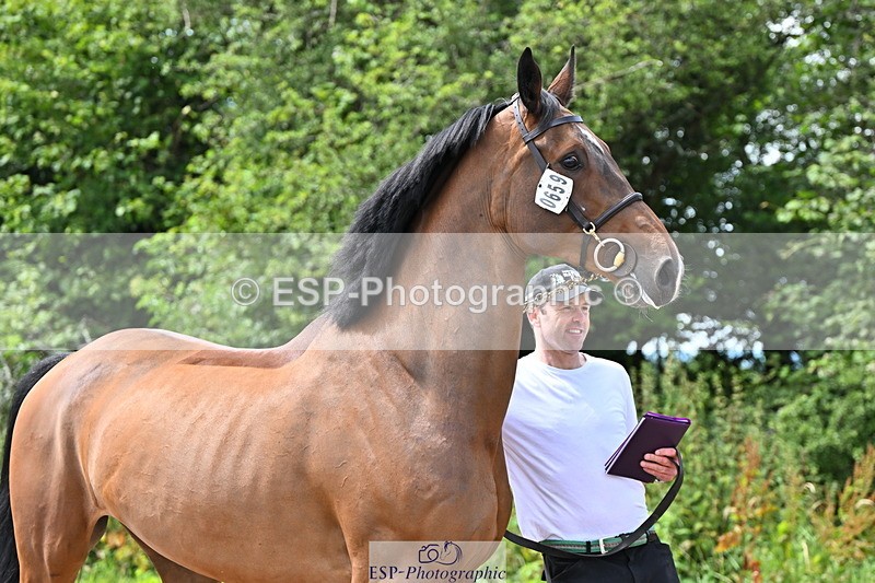 240718A-105247-01165 - Trot Up 12pm to 1pm