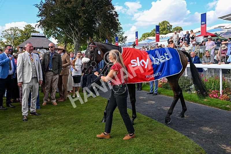 220826-Race 5-Sondad-5232 - Race 5 16.10pm Sky Bet Constantine Handicap