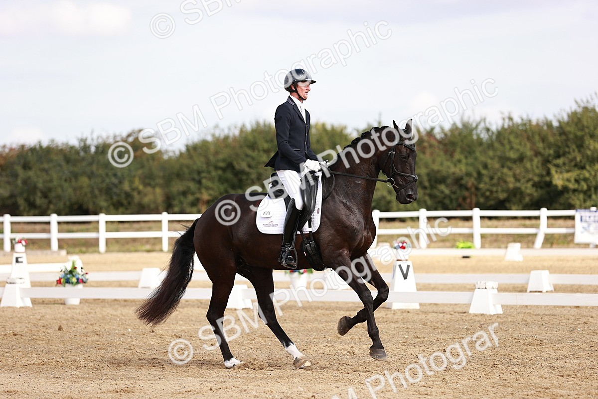 SBM_017615 - Class 11 - Advanced Medium 6