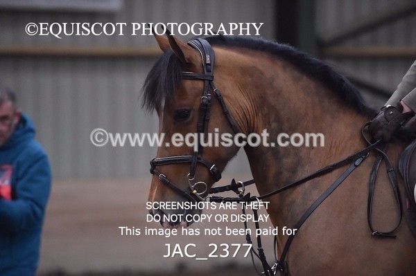 JAC_2377 - CLASS 3 Intermediate Working Hunter