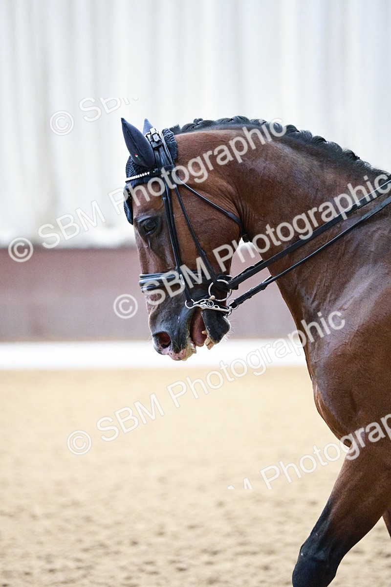 SBM_004071 - Class 13-19 - Novice FSM-INT 1 - 9.00-9.54