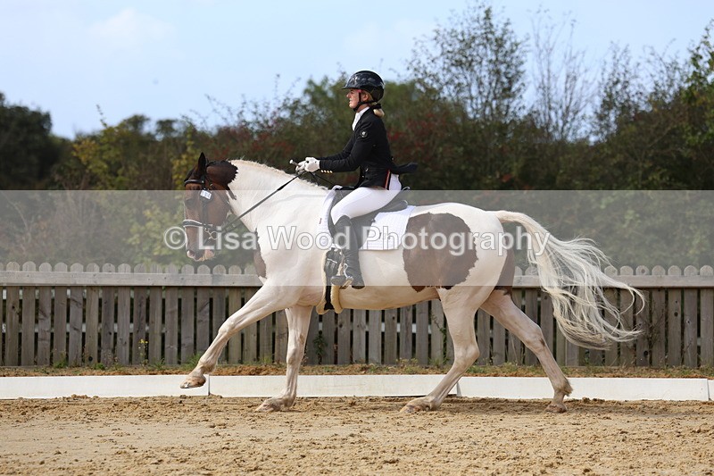 3E7A4157 - Class 9: Novice 6 Section B Championship