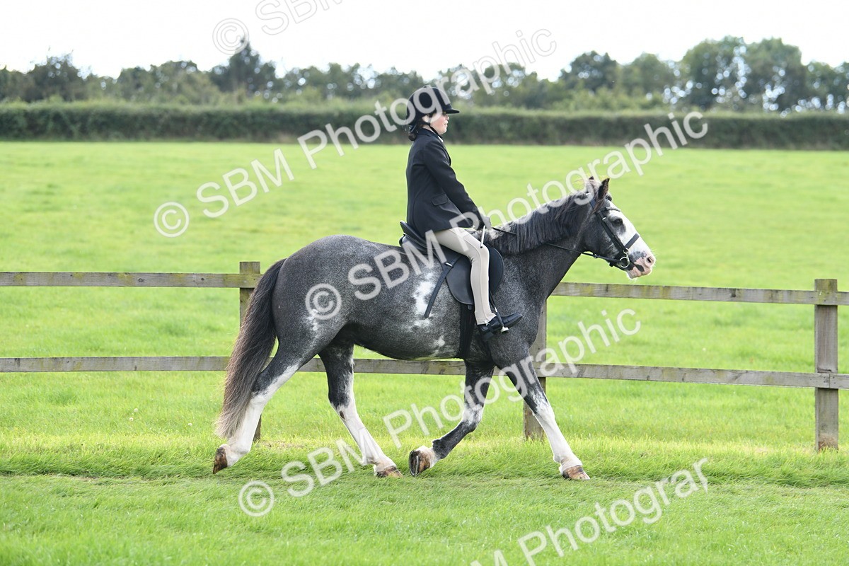 SBM_46740 - S12 - Family Horse & Pony