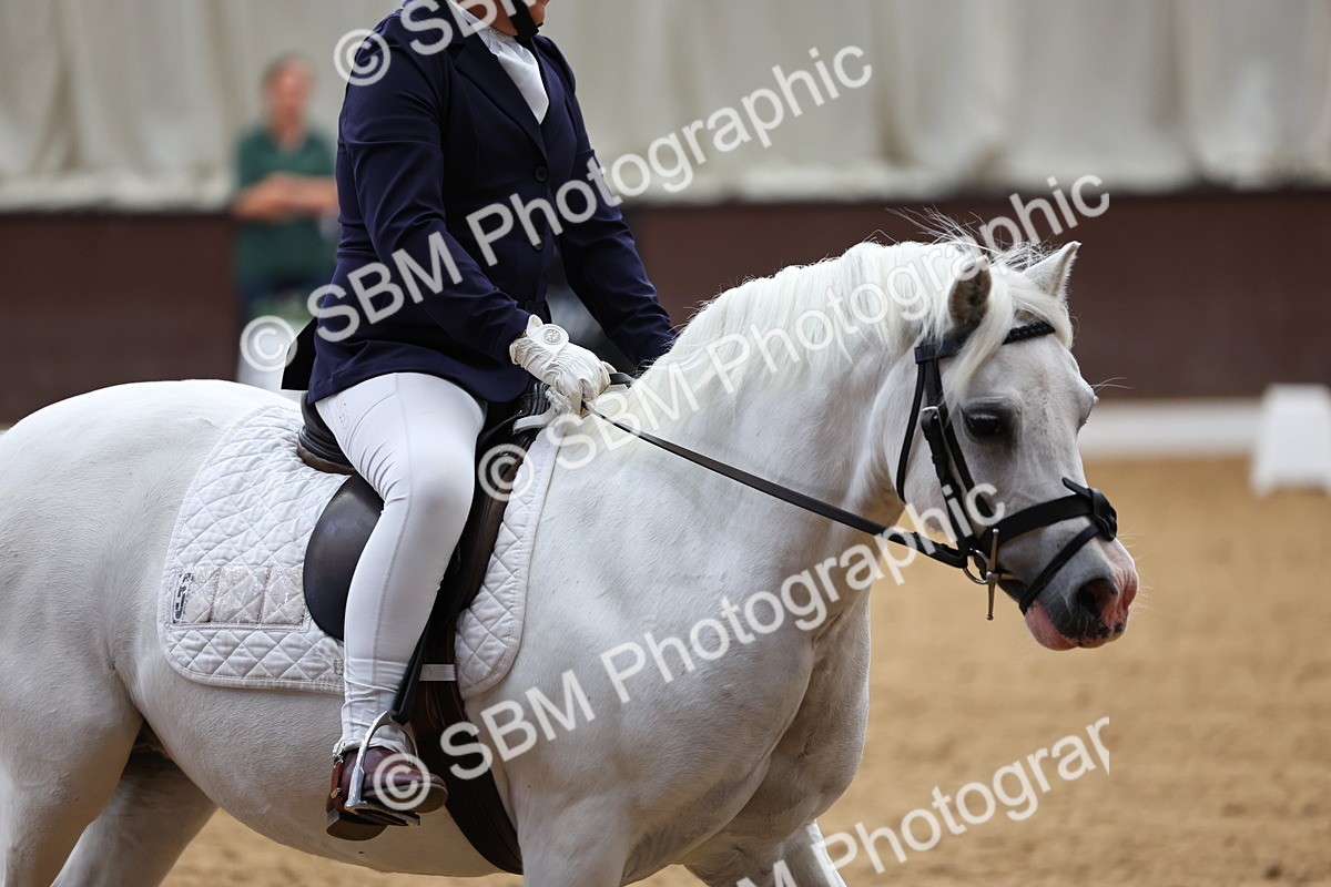 SBM_003452 - Intro 2