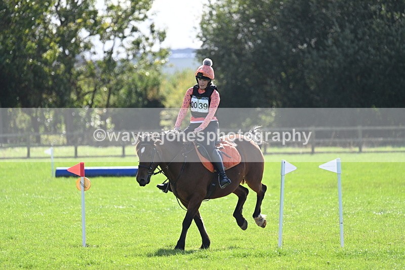 WJ7_1275 - Time 13:56 to 14:24