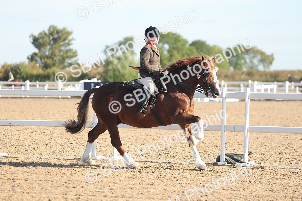 SBM_10986 - Class 302 - Ridden M&M Large Breeds