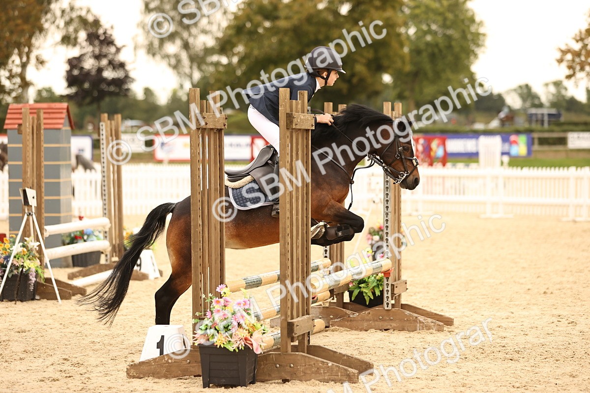 SBM_74214 - J14 - Junior Pony 65cm Championship