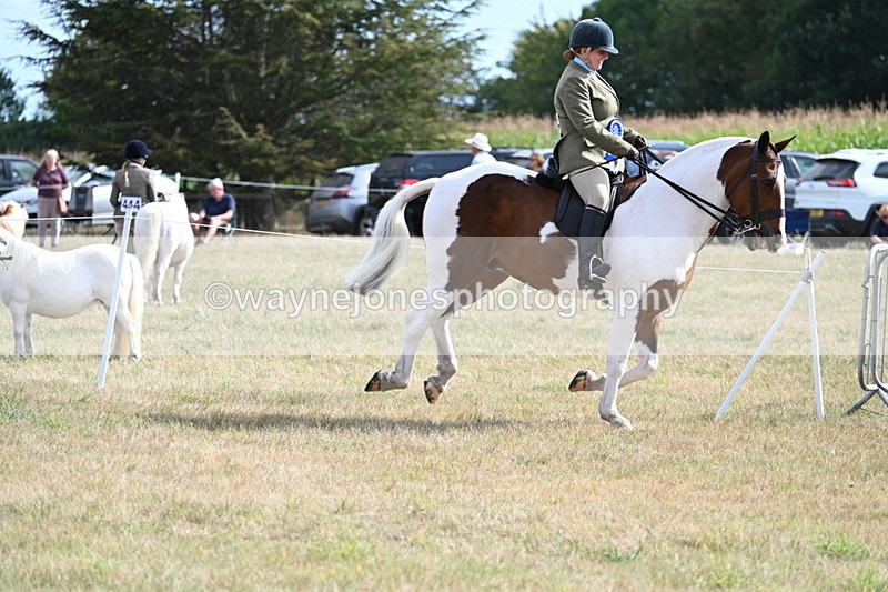 WJ7_7486 - Class 14 Ridden Coloured