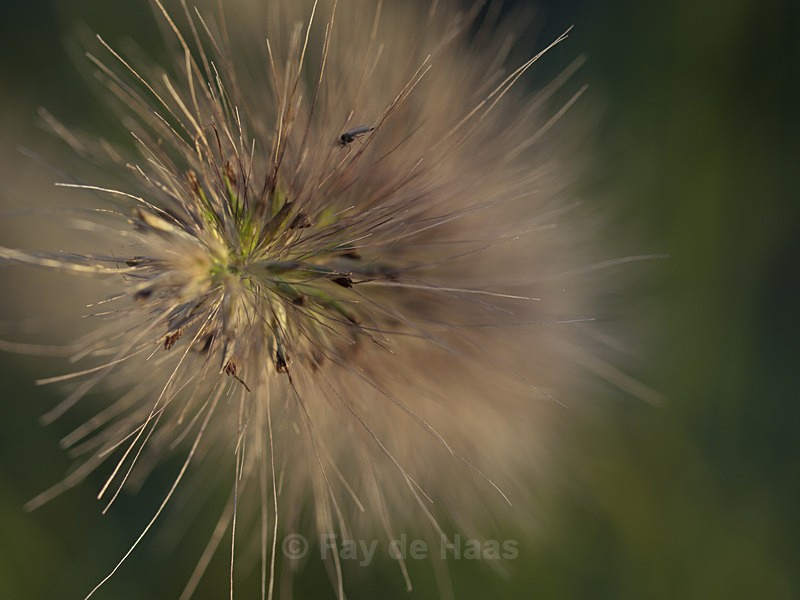  - Nature's Wonders