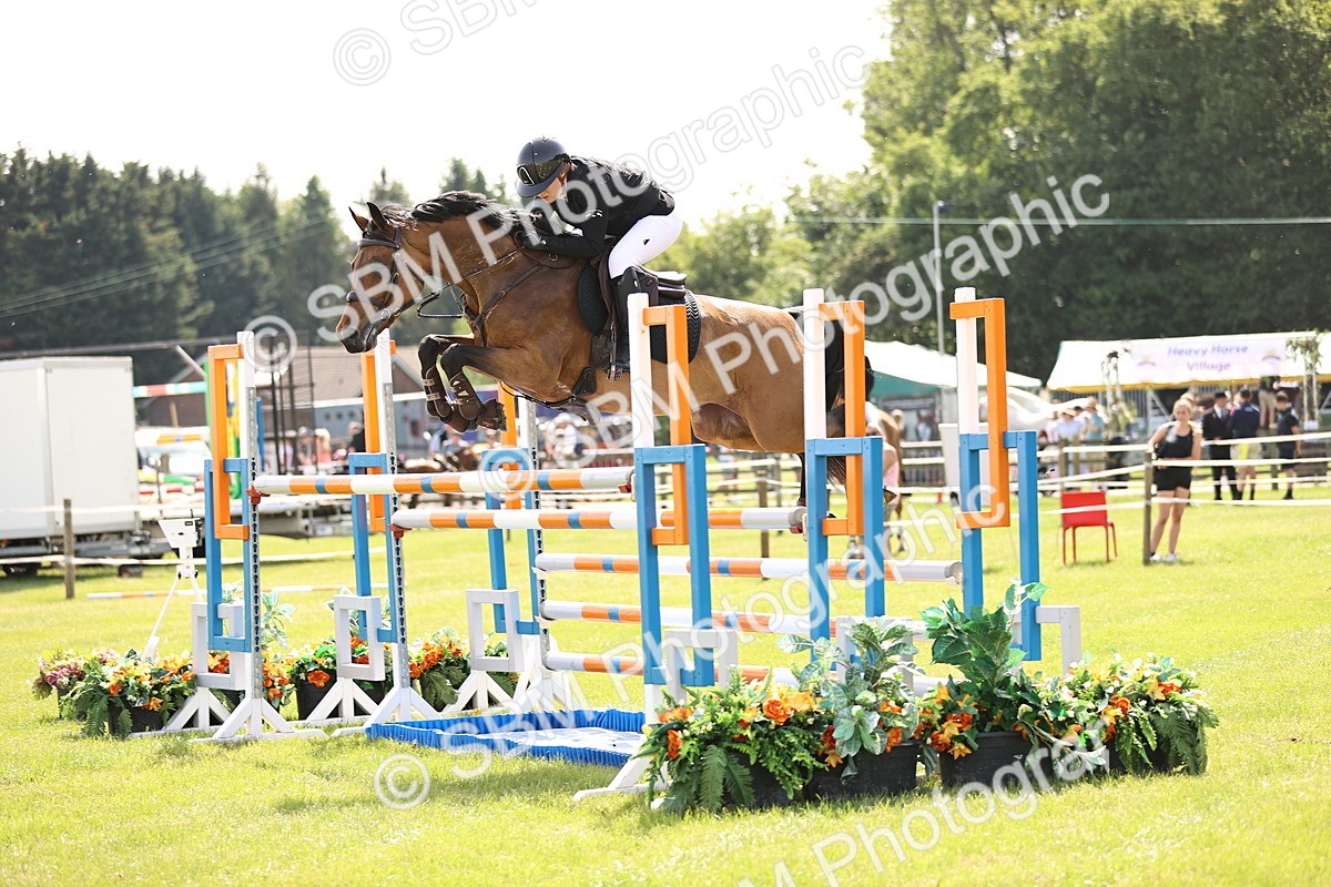 SBM_03097 - Class 201 - British Horse Feedds Speedi Beet HOYS Grade C