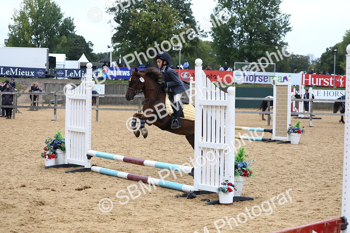 SBM_68414 - J3b - Mini Tour Junior Pony 40cm Championship