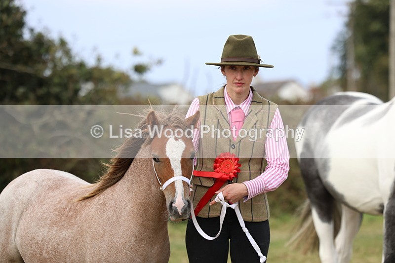 3E7A5432 - Class 19: Best Coloured in Hand