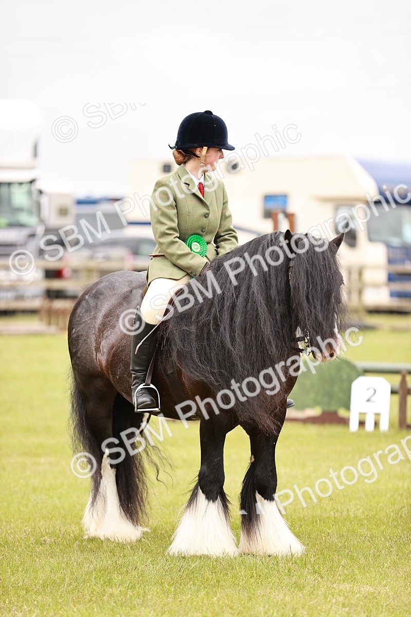 SBM_06249 - Class 39-41 TGCA In Hand and Ridden