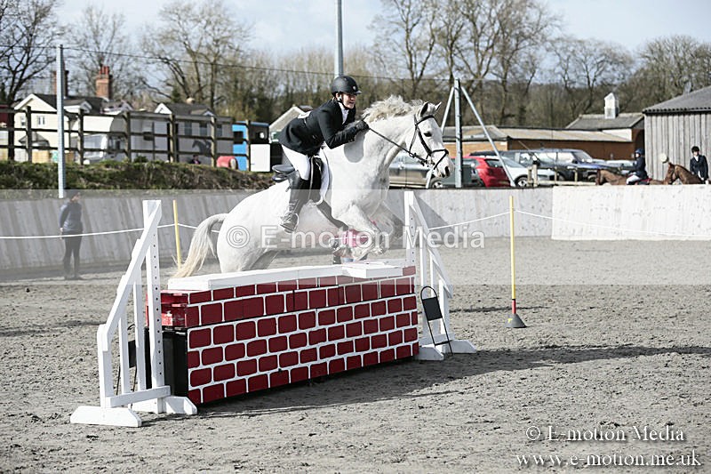 BVRC SJ 170319 702 - Bourne Valley Riding Club Showjumping 17/03/19