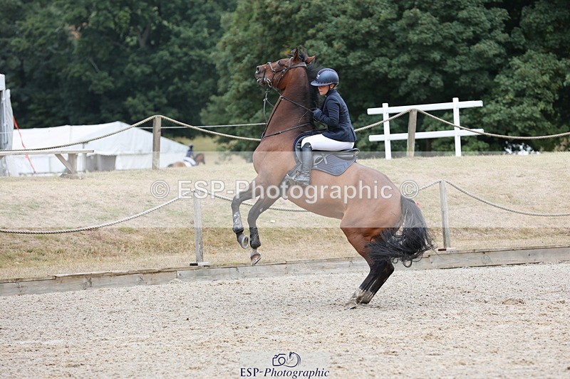 250829A-091848-00198 - Cls 6 85cm Amateur Quali