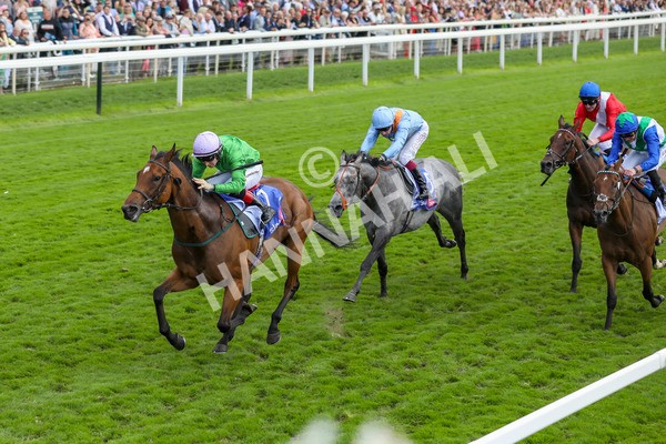 240824-Race 3-Breege-8975 - Race 3 3.00pm Sky Bet City Of York Stakes