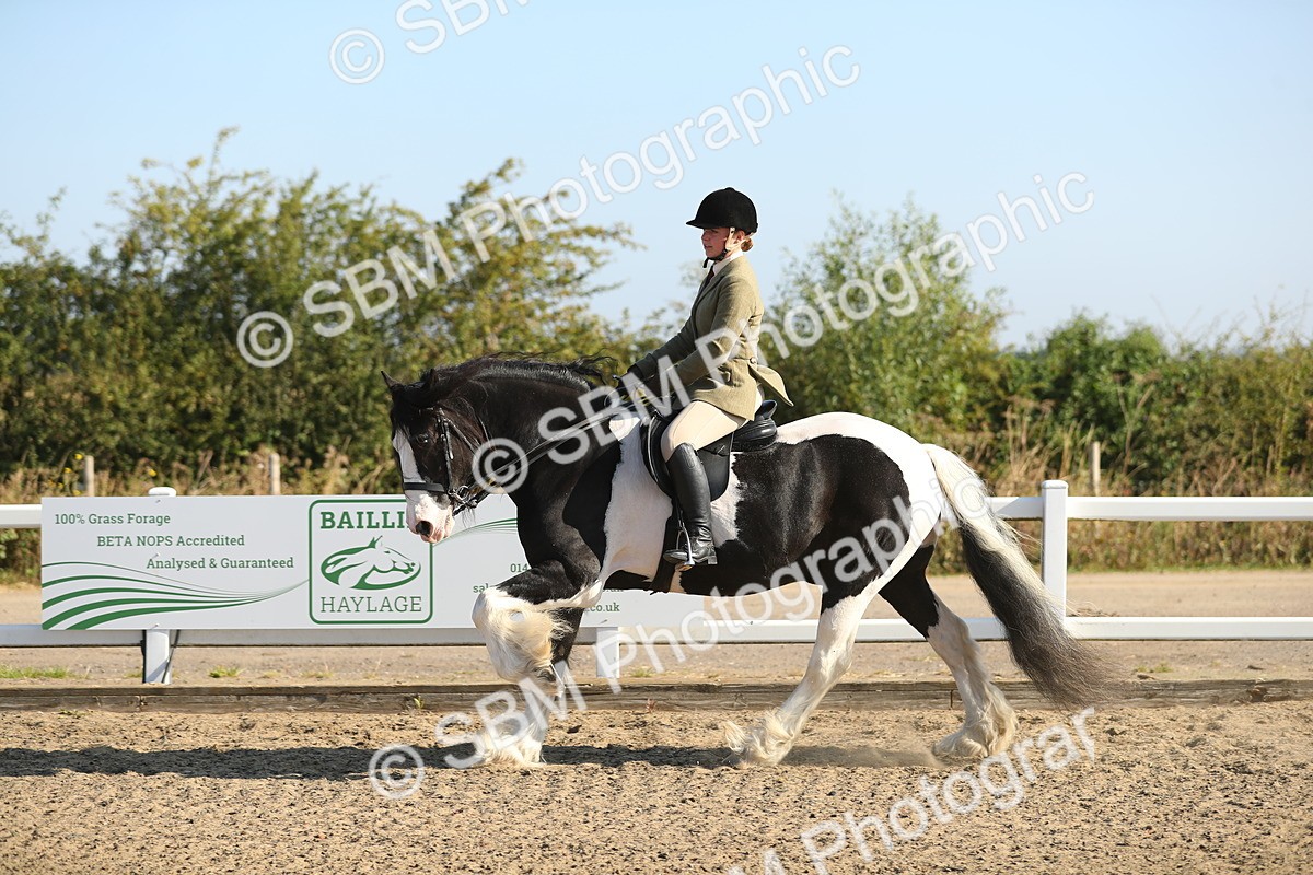 SBM_01142 - Class 42 Ridden Veteran