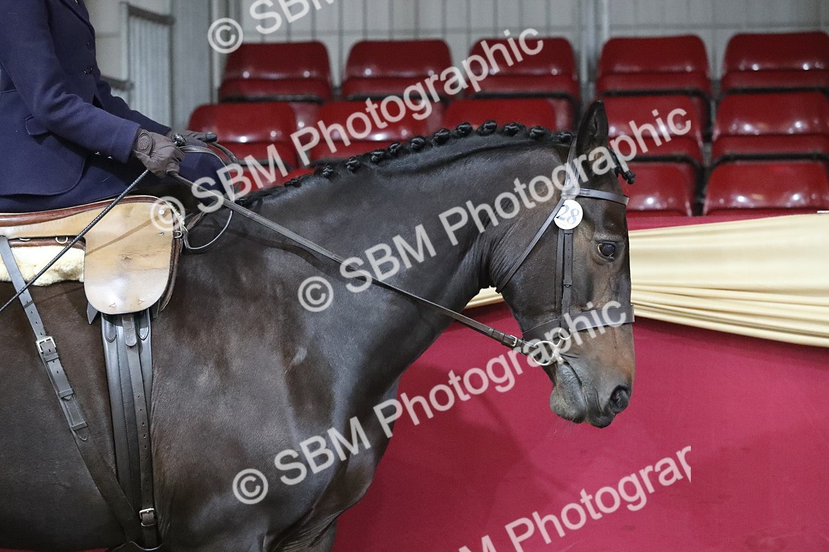 SBM_09231 - Class 101 Equitation (best rider), Junior