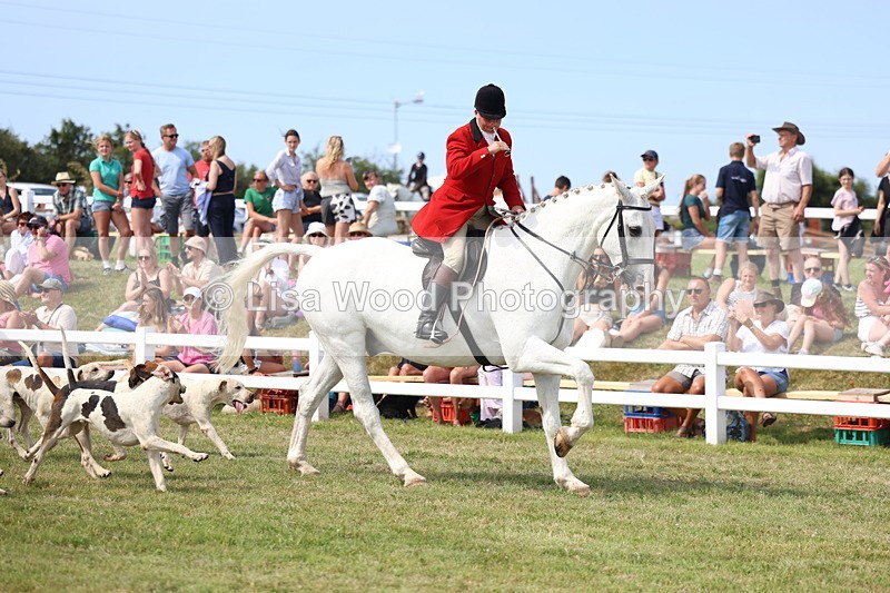 3E7A0157 - Parade of Hounds