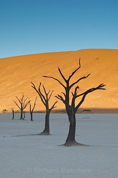  - Namibia