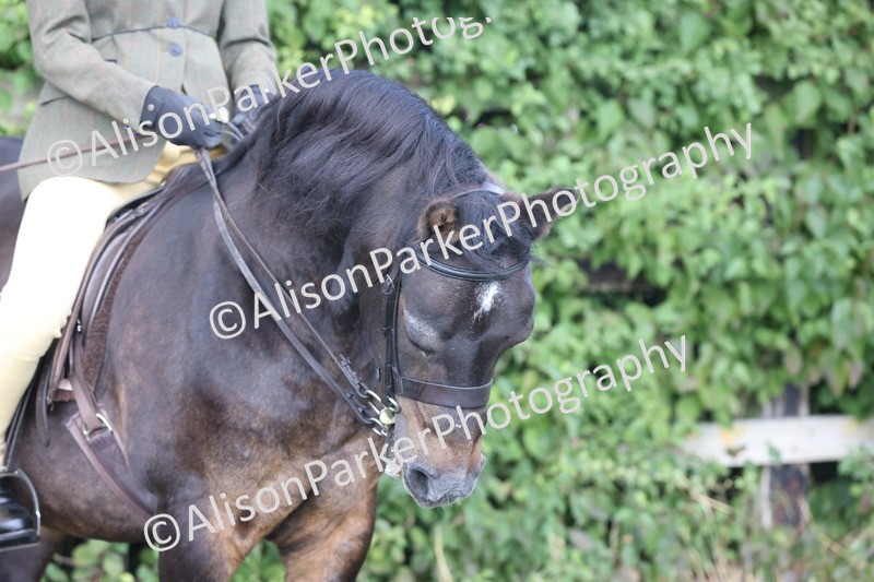 20250831-1084 - Class 15 - Ridden Veteran