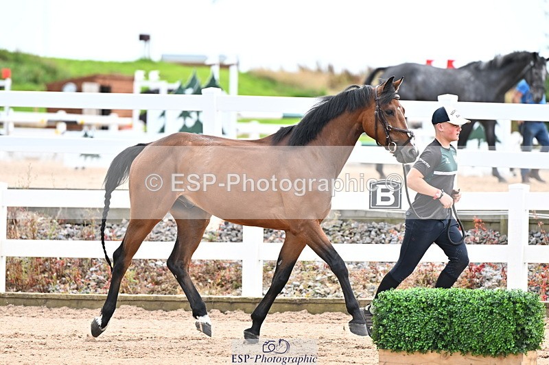 240718A-105326-02007 - Trot Up 2pm to 3pm - This folder is not in time order