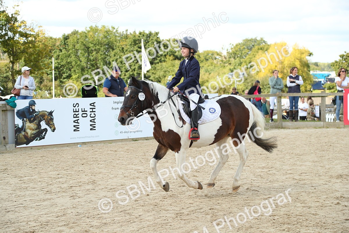 SBM_41551 - J6 - Junior Pony 55cm Championships