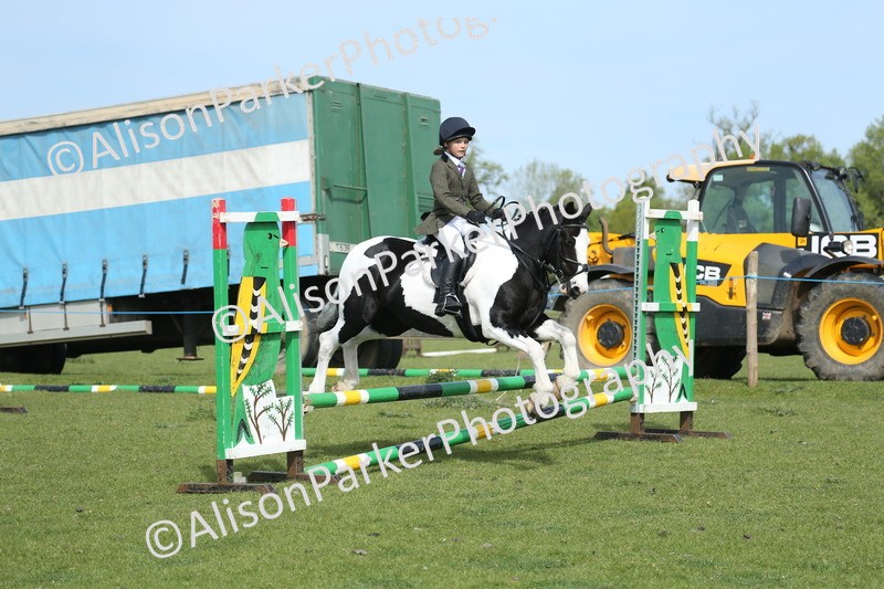 20260426-1519 - Class 14 - Novice 60cm