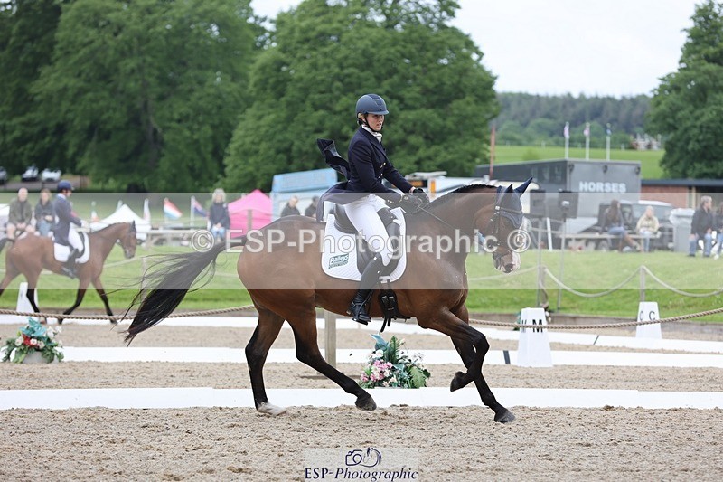 240523-104352-03388 - 214-DSH_GOLDEN_EYE-Lucinda_Mesquita