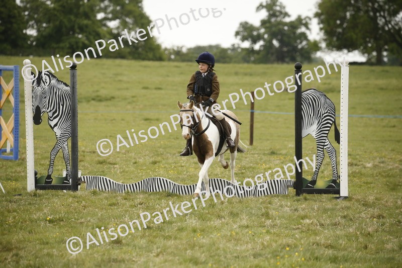 20250517-0812 - Class 2 - 30cm Off Lead Rein